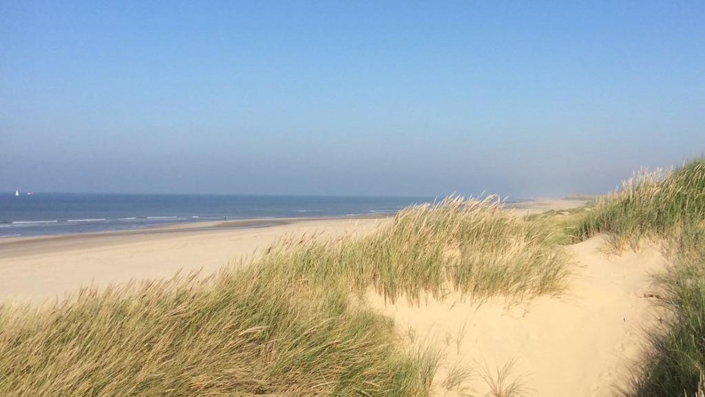 De Blaauboer, Vakantiehuisje 海边的艾格蒙特 客房 照片