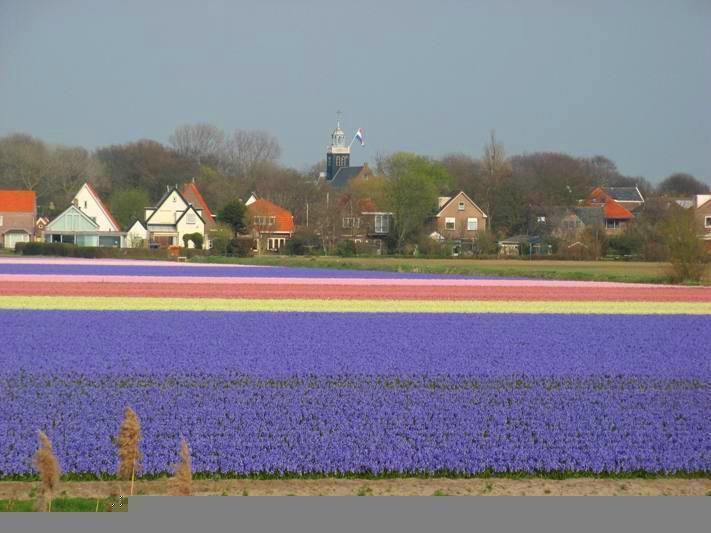 De Blaauboer, Vakantiehuisje 海边的艾格蒙特 客房 照片
