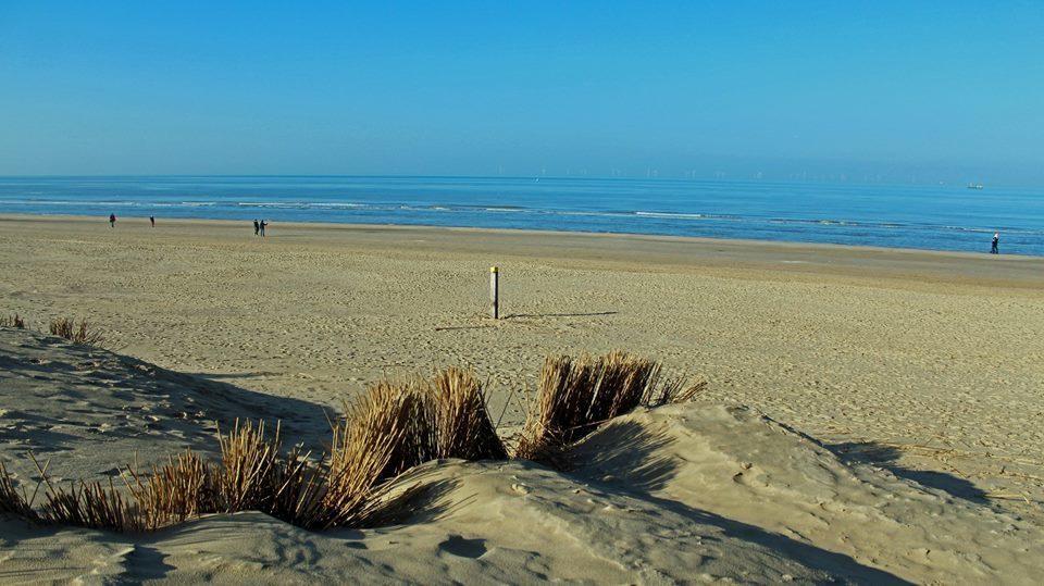 De Blaauboer, Vakantiehuisje 海边的艾格蒙特 外观 照片