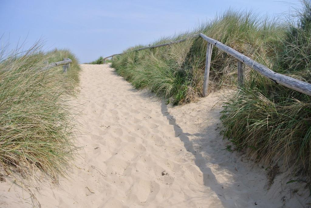 De Blaauboer, Vakantiehuisje 海边的艾格蒙特 客房 照片