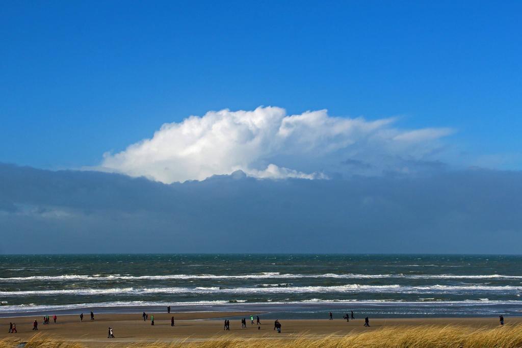 De Blaauboer, Vakantiehuisje 海边的艾格蒙特 外观 照片
