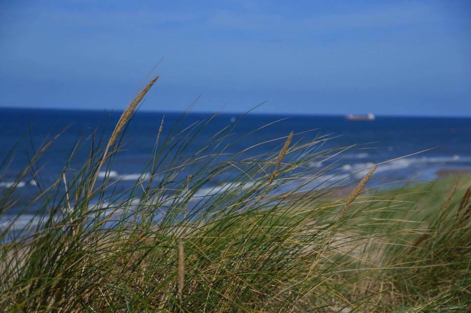 De Blaauboer, Vakantiehuisje 海边的艾格蒙特 外观 照片